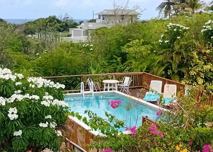 The Pool House